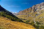 L'alta Val di Rhemes con in fondo il Granta Parey (3387 m).